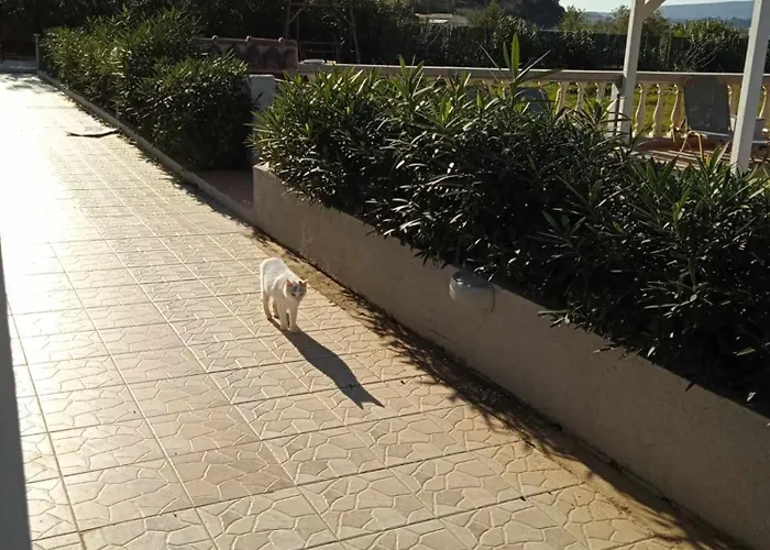 Residents Ionian Apartmanhotel