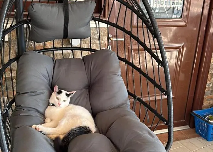 Apartmanhotel Residents Ionian